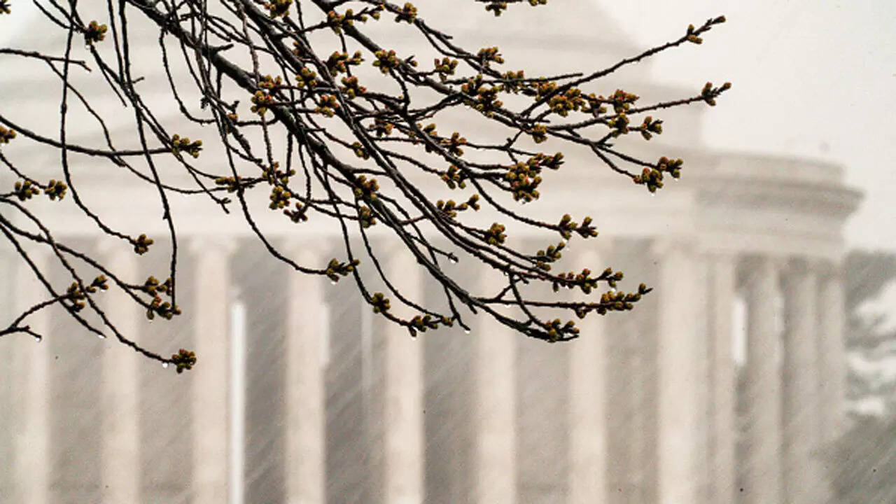 Severe storms force early school dismissals and closures across Washington, D.C. region