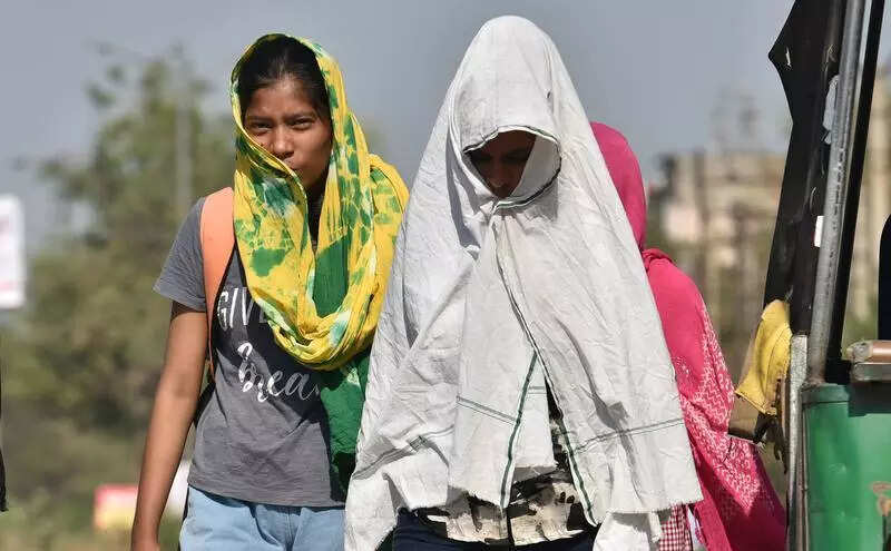 IMD issues storm alert for March 19-20 in Haryana, says winds may hit 50kmph