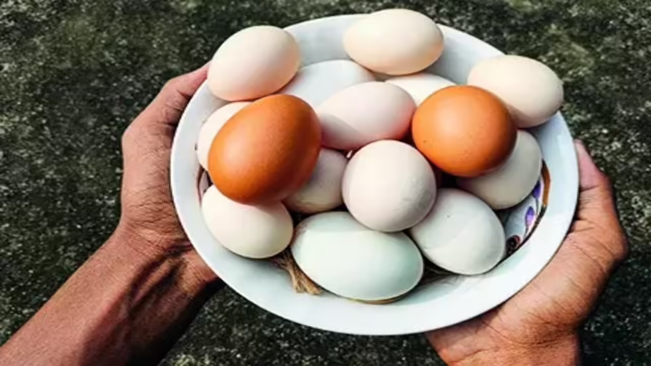 From April 1, UP egg producers must stamp expiry date