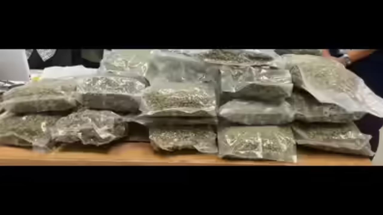 Delivery agent held at airport with hydroponic weed of Rs 8.5cr