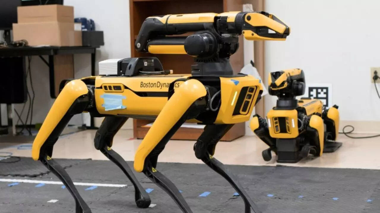 How dogs are helping robots understand what humans really want