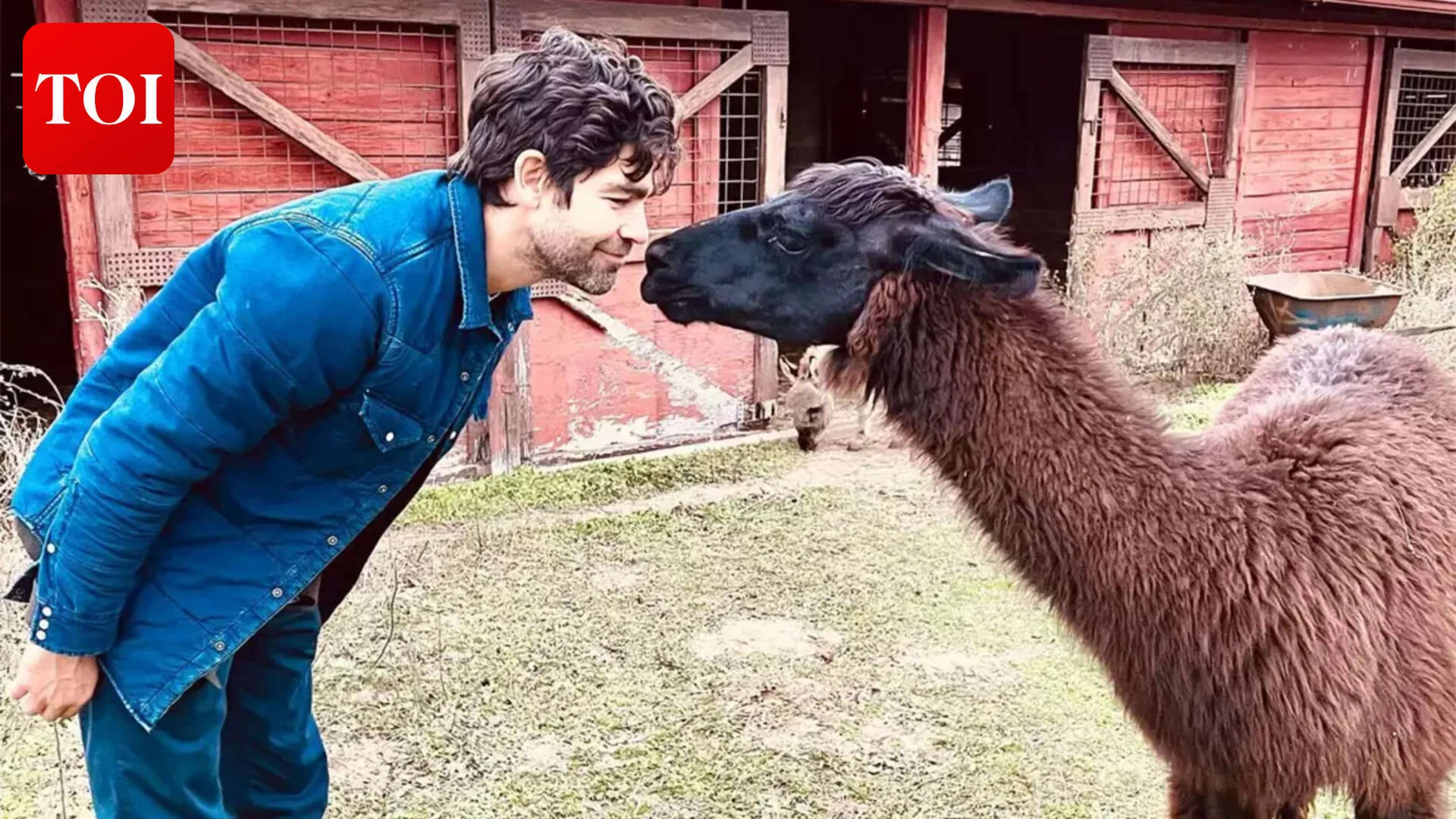 Adrian Grenier sets condition for acting comeback