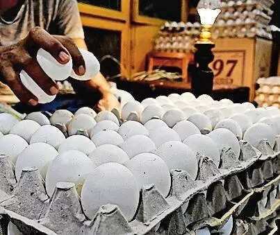 Wholesale egg prices drop, but only slight dip in retail; edible oil costlier