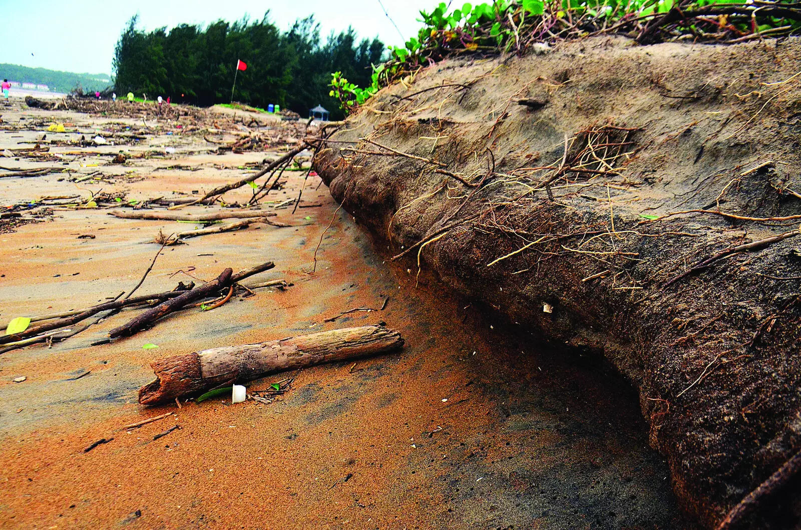 3% of Goa’s coast lost to erosion, ‘stable coastline’ reduces by 7%