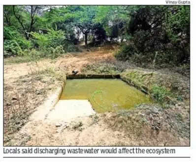Waste pipeline empties into Aravali pond where animals come to drink in Haryana