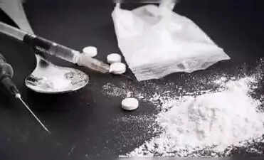 Drugs hidden in dictionaries, jackfruit loads: EAGLE exposes covert trafficking tricks