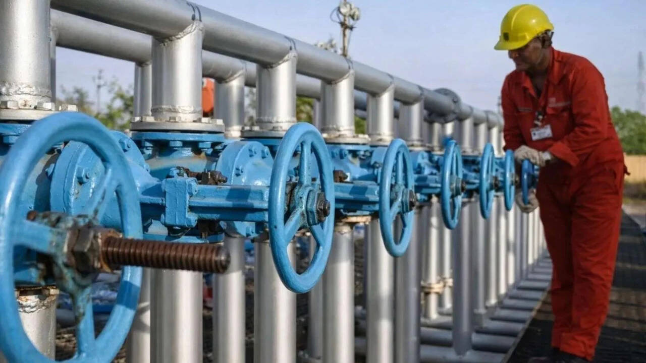 Govt secures extra LNG via spot buying to make fertilisers