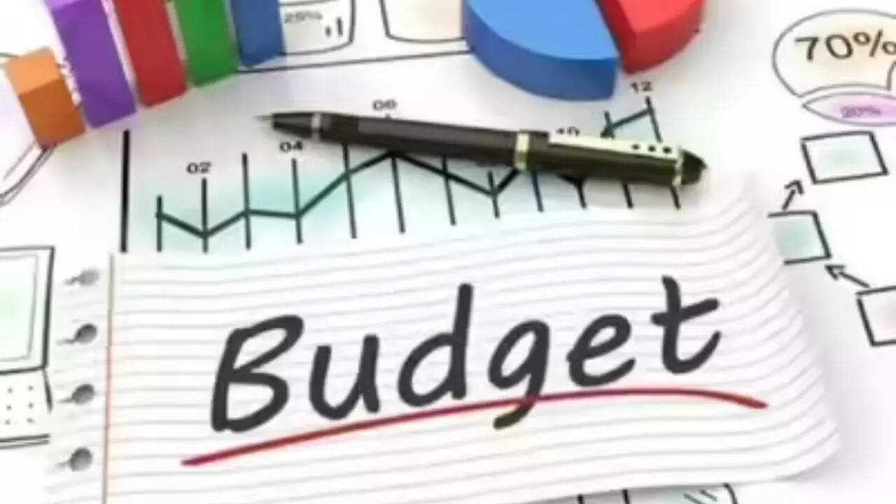 Budget basics simplified: TOI explains receipts, expenditure, deficits, borrowing, and parliamentary approvals for understanding of govt finances