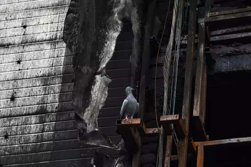 Fire failed to break bond between woman and daughter, even in death