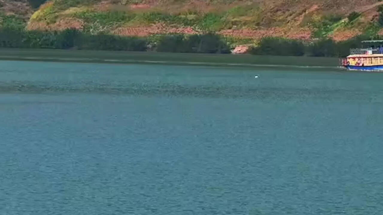 5 engineering students from Andhra Pradesh drown in Godavari river while clicking photo