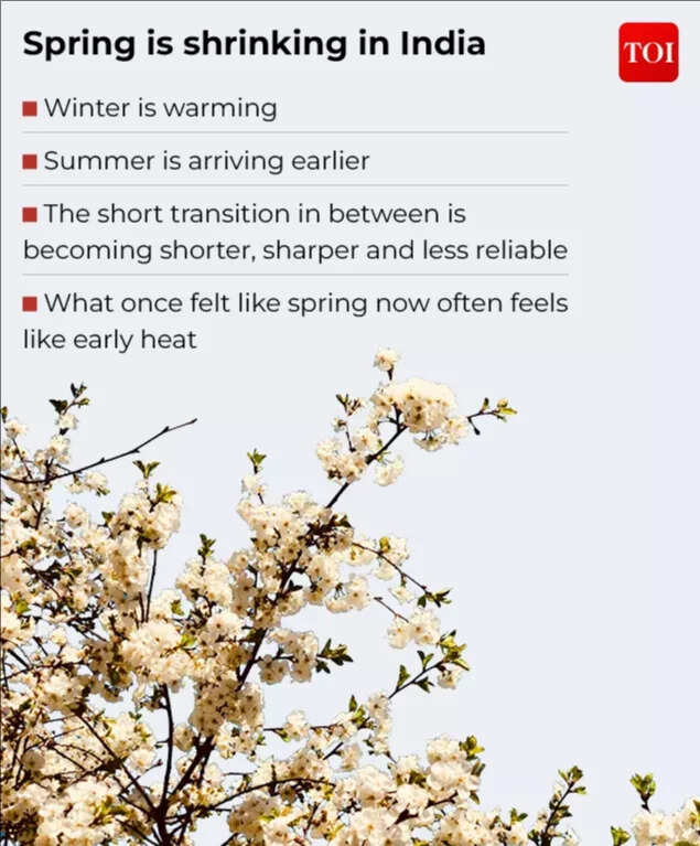 Spring is shrinking in India