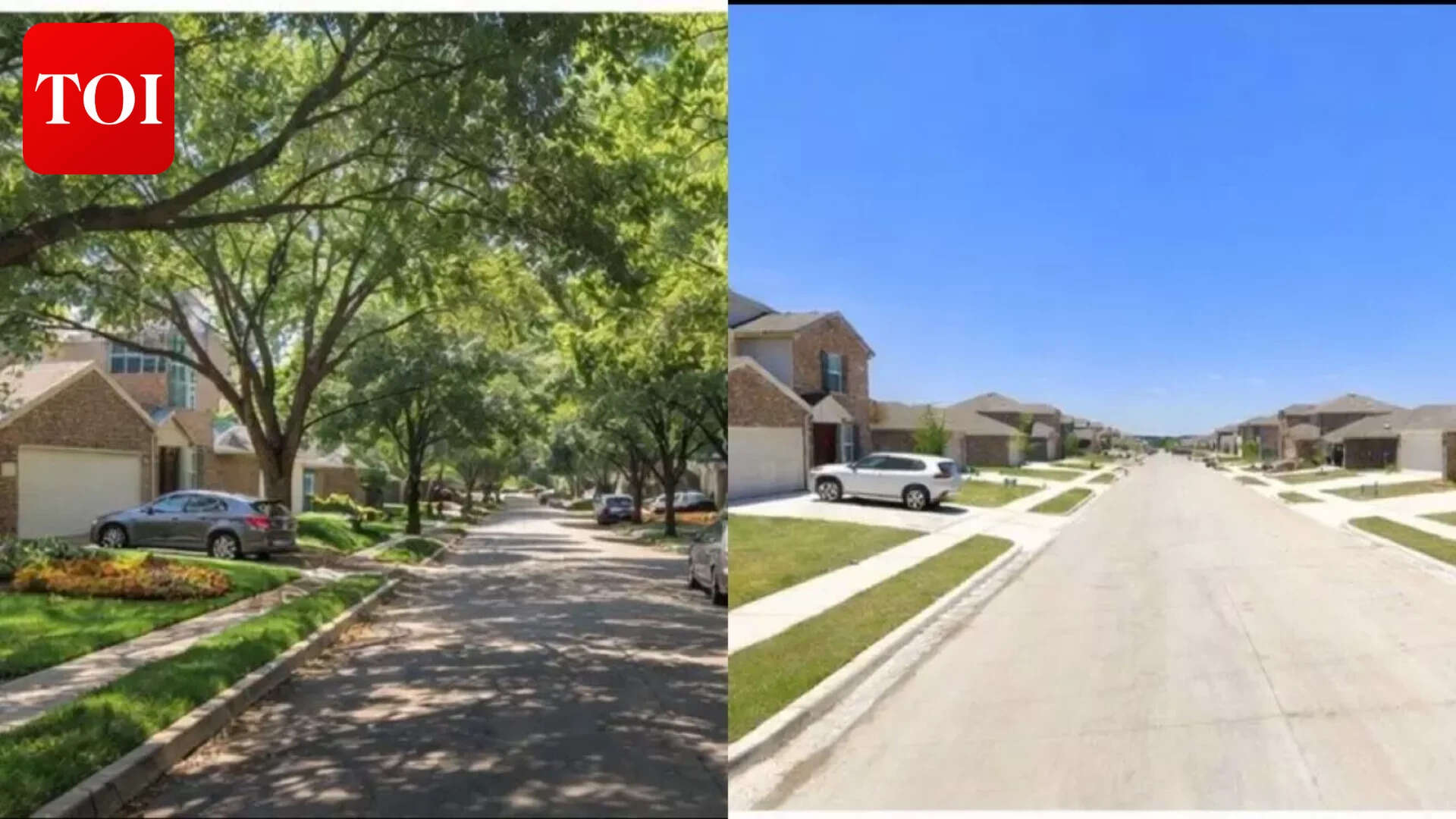 ‘Saves $5,000 per lot’: Viral post reveals why American builders are selling treeless homes to families