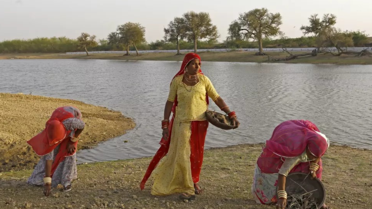 ​Blue saree brigade: Women at the heart of India’s water systems