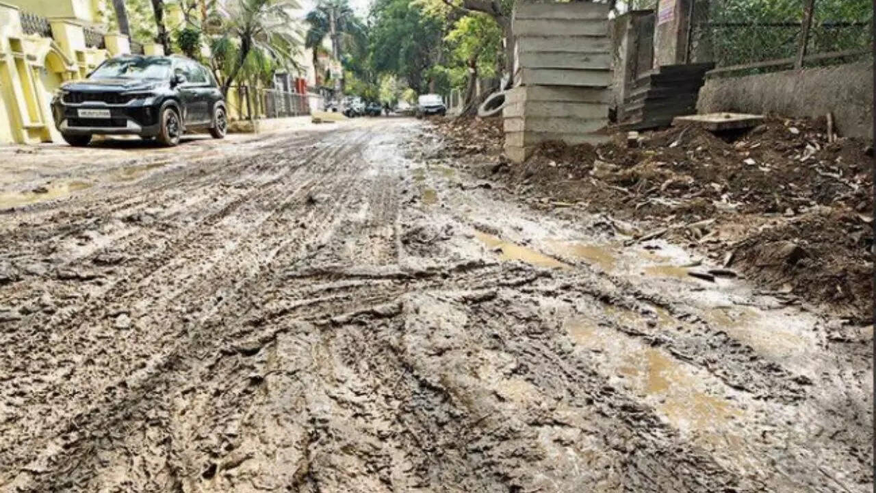 Pothole paradox: 1.2k plaints resolved, says MCG, portal tells different story