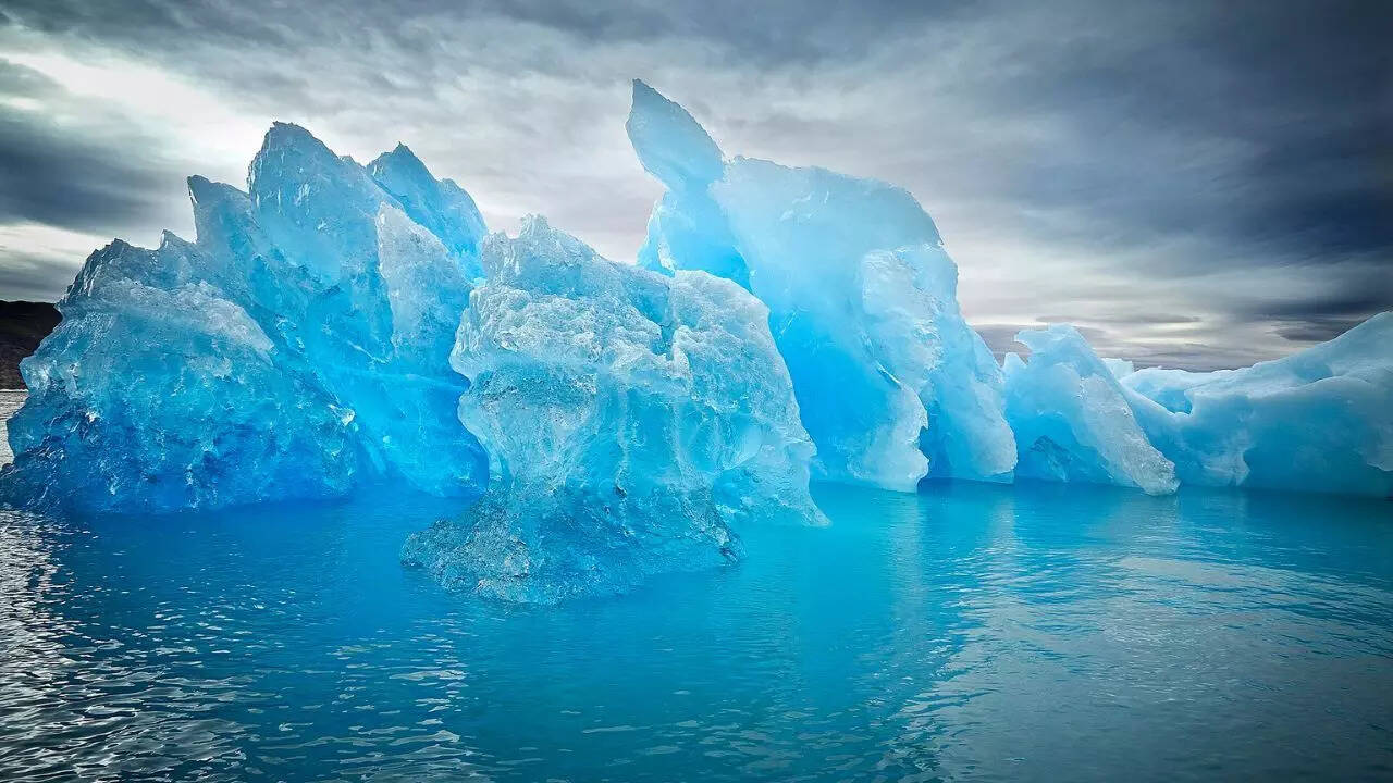 Why Greenland has almost ‘no trees’ and what makes it so unusual; the reason will shock you