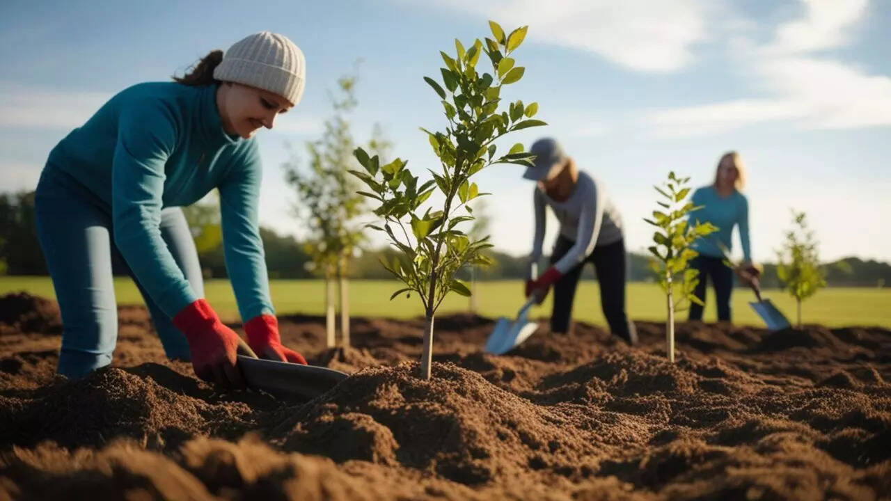 Think planting trees will save the planet from global warming? Science says it’s not that simple