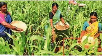 Panel set up for new bill for empowerment of women farmers in Maharashtra