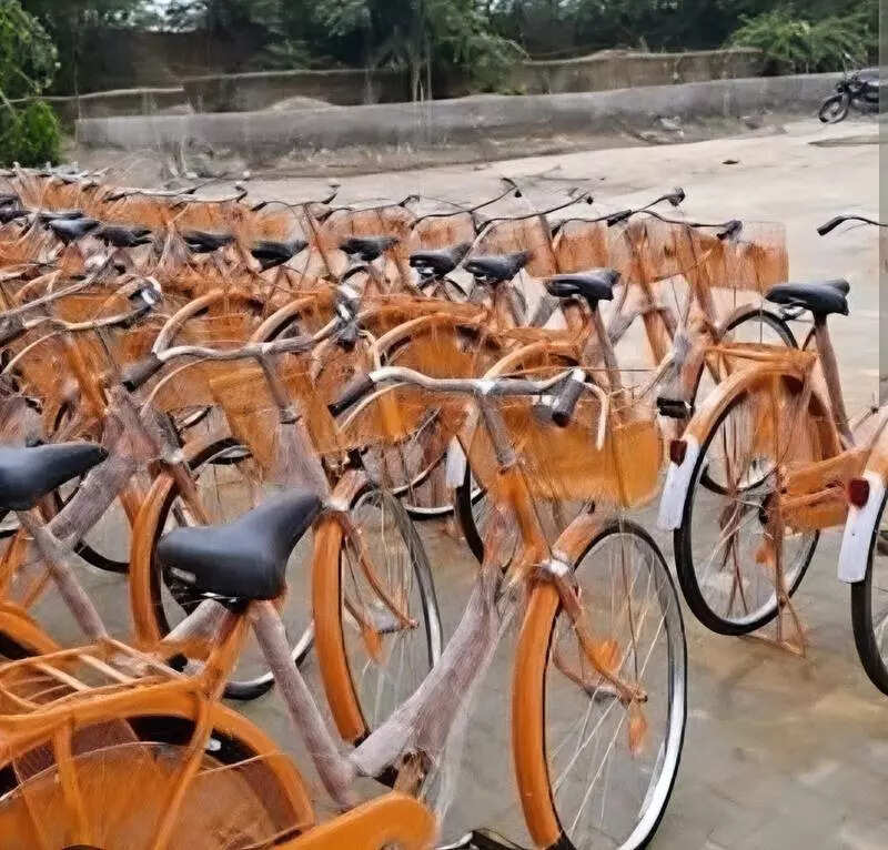 msid 129760607,imgsize 85466 https://jaipur.visitinrajasthan.com/wp-content/uploads/2023/10/cropped-cropped-R-2.png