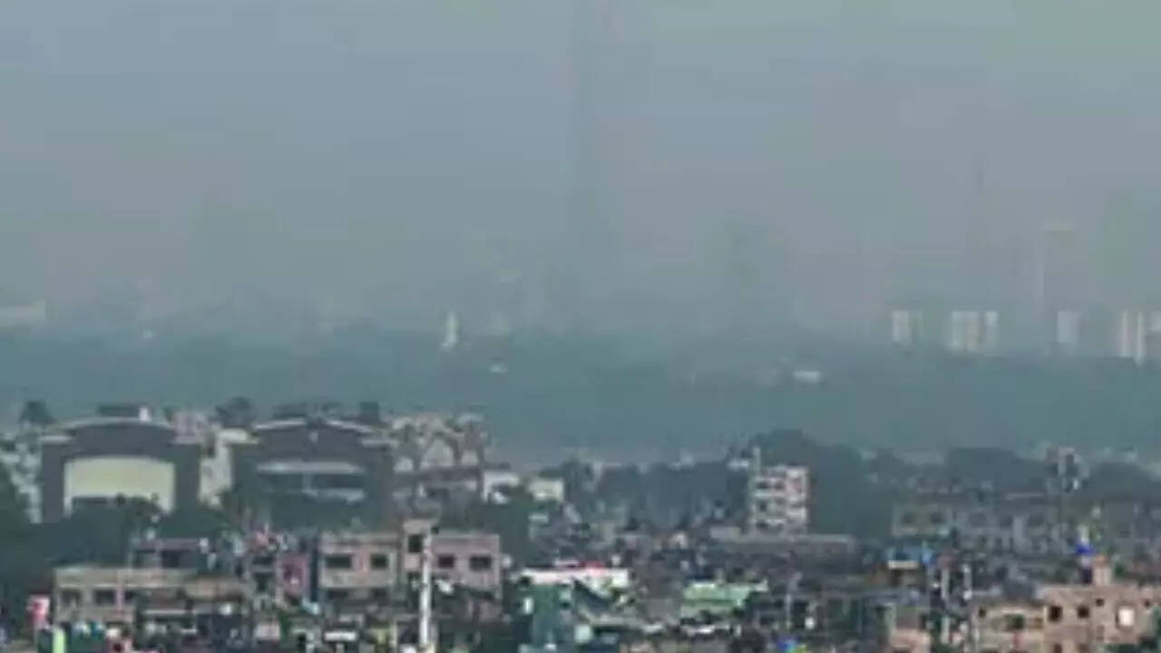 Better air quality, no winter stubble burning in Delhi: Eco Survey