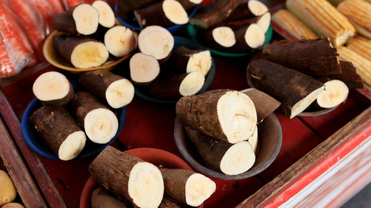 msid 129775113,imgsize 1264538