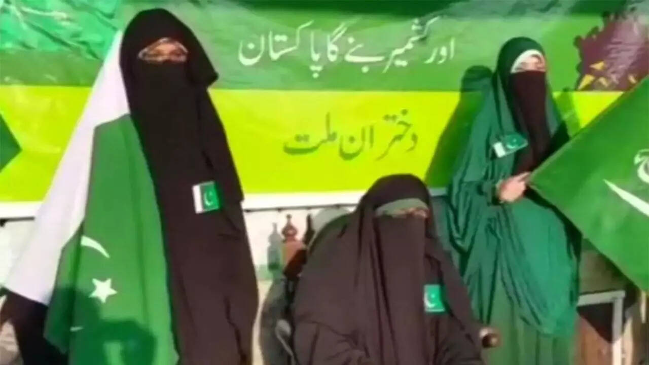 'Hatched conspiracy': Why J&amp;K separatist Asiya Andrabi got life sentence in UAPA case