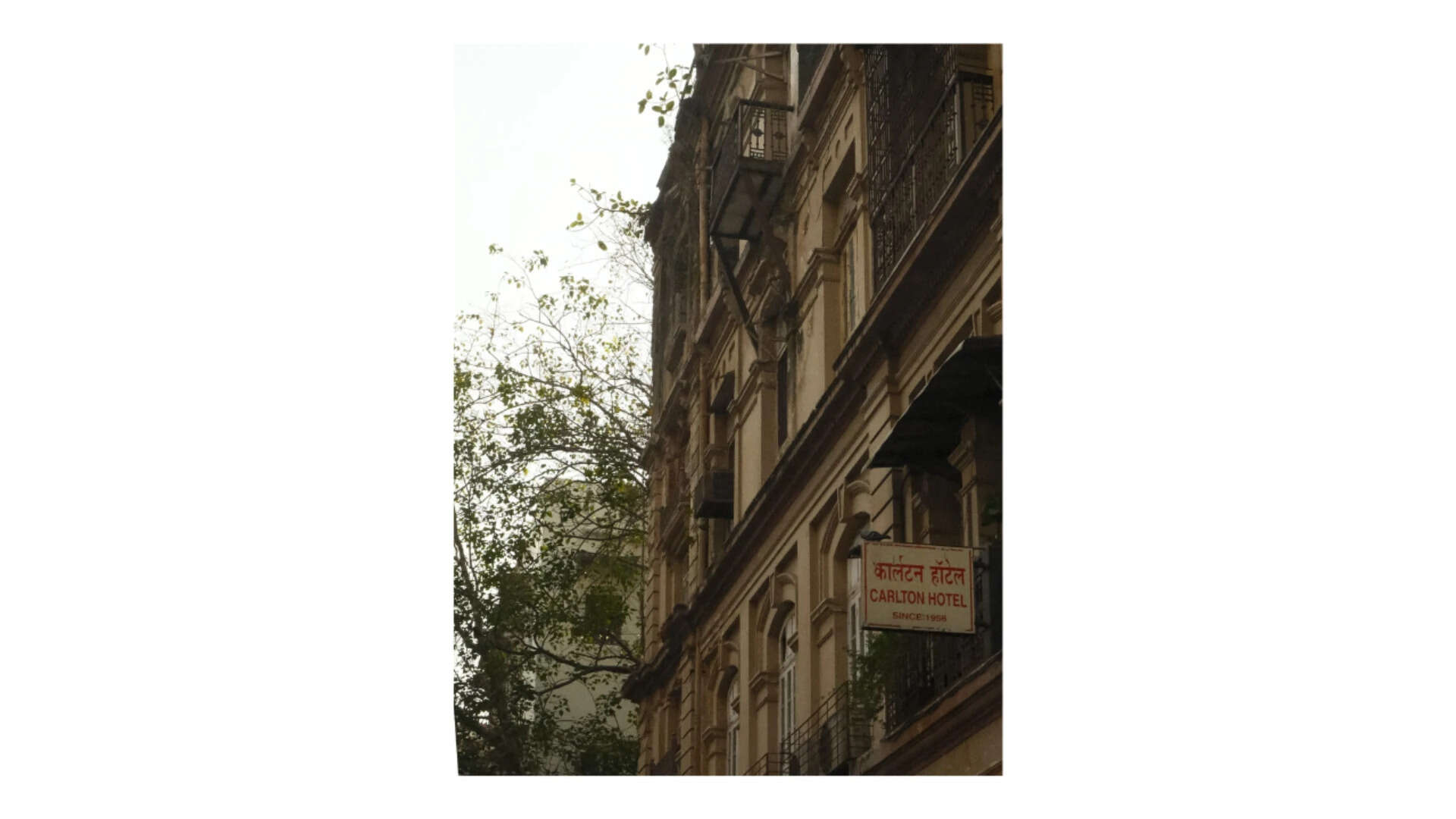 Devanagari above, English below, "Since: 1956" in smaller text—the kind of detail 40 megapixels is actually for.<br>
