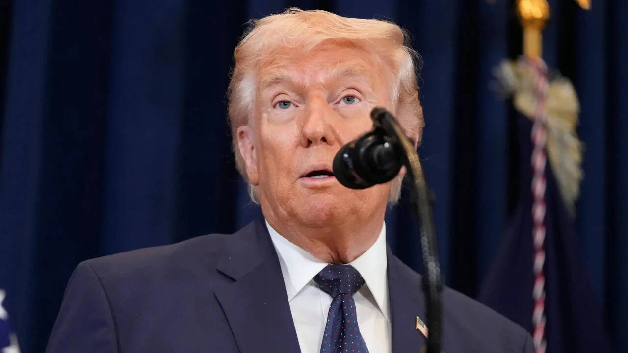 ‘May call up national guard’: Trump blames Democrats for immigration, airport chaos