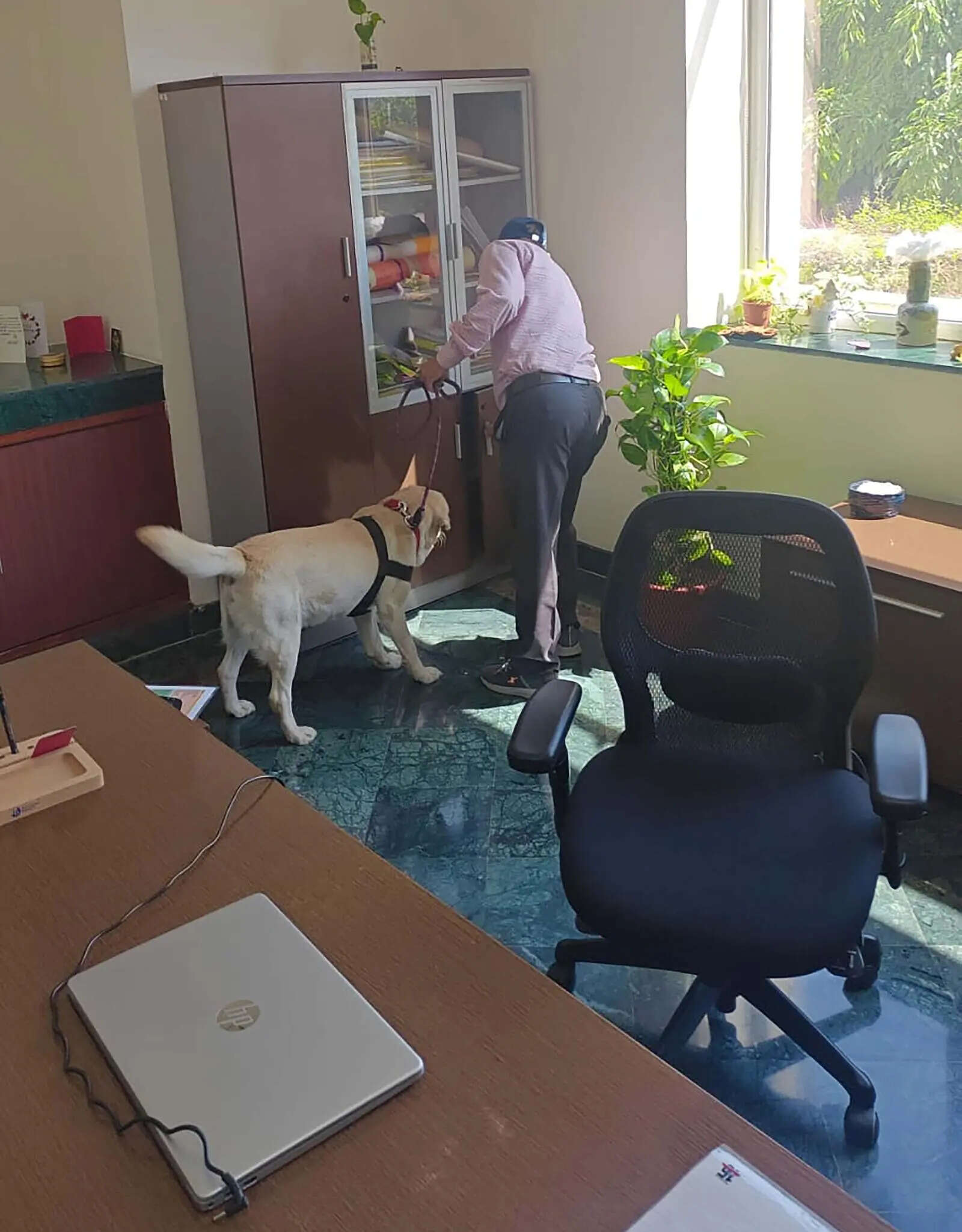 Bomb threat email triggers security check at Gurgaon school