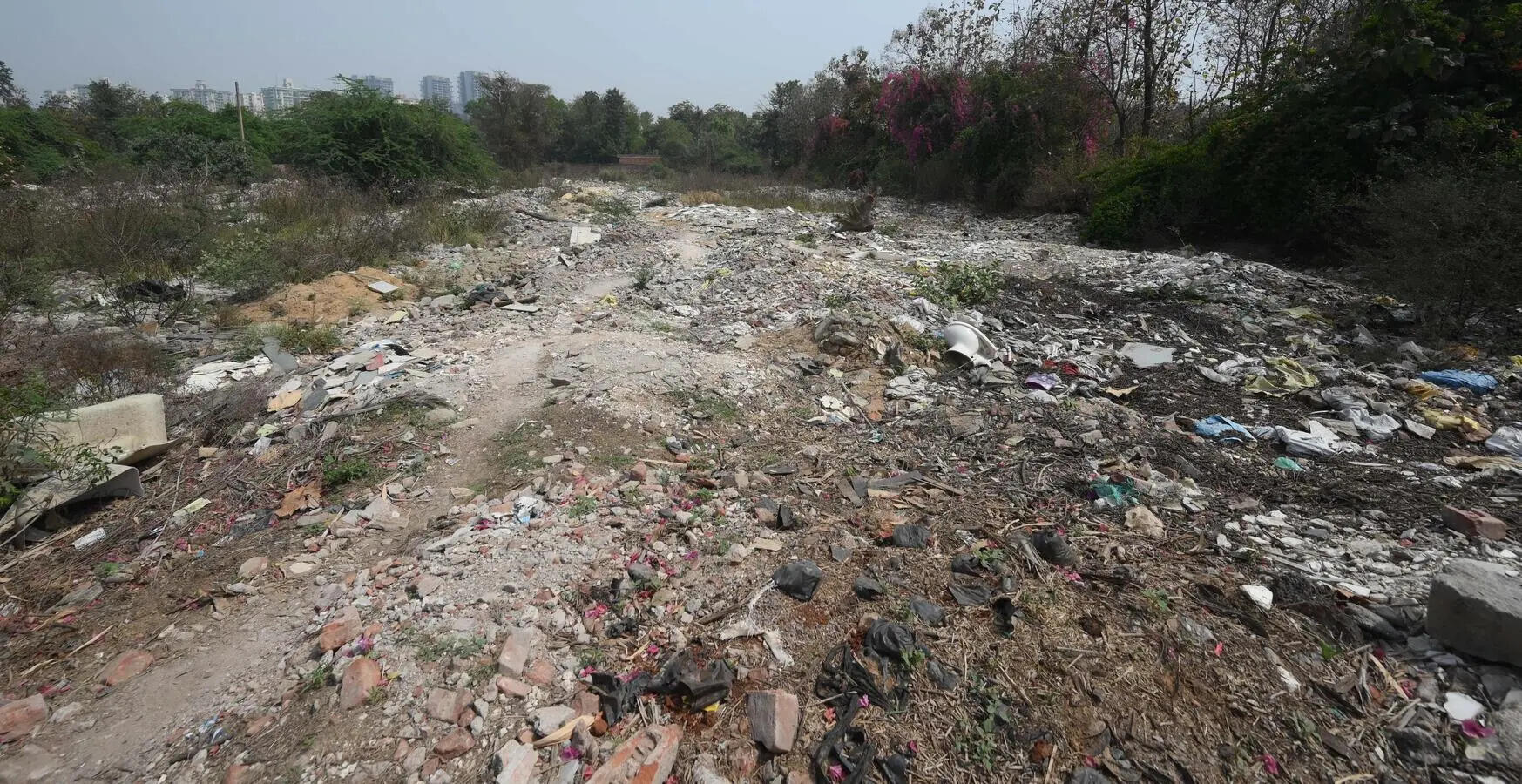 Construction waste, encroachment threaten Gurgaon’s first Nagar Van