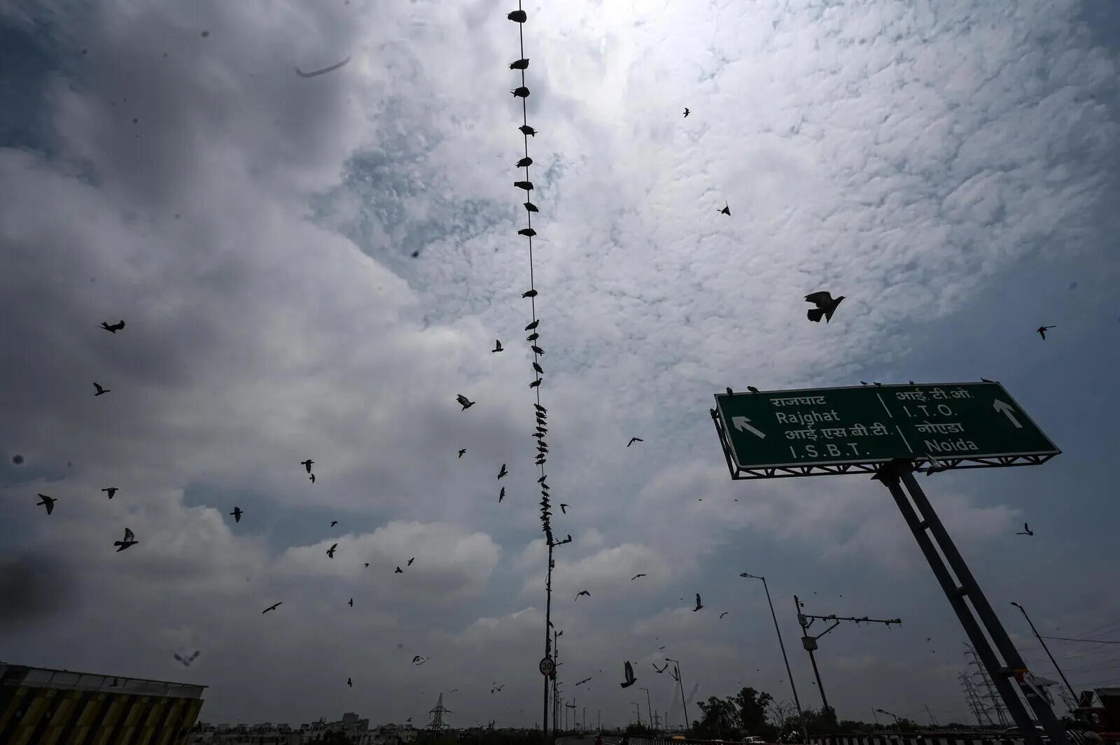 IMD issues yellow alert for rain, thunderstorm this week in NCR