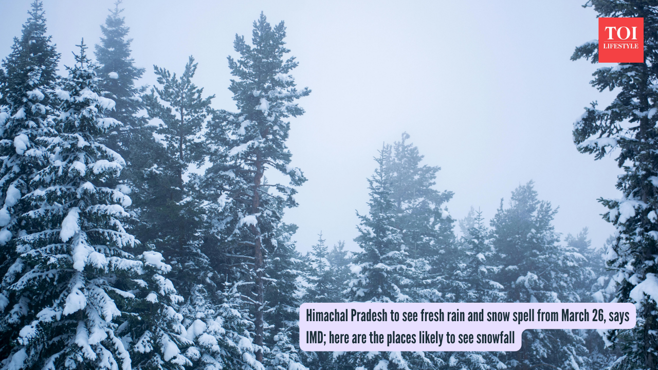 Himachal Pradesh to see fresh rain and snow spell from March 26, says IMD; here are the places likely to see snowfall
