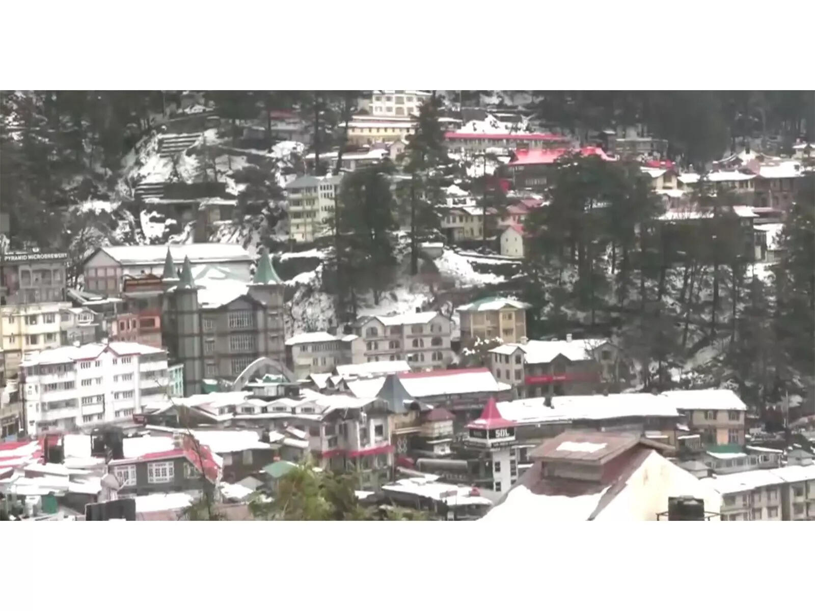 Rain, snow lash Himachal; Temperatures plunge, IMD warns of fog and cold wave