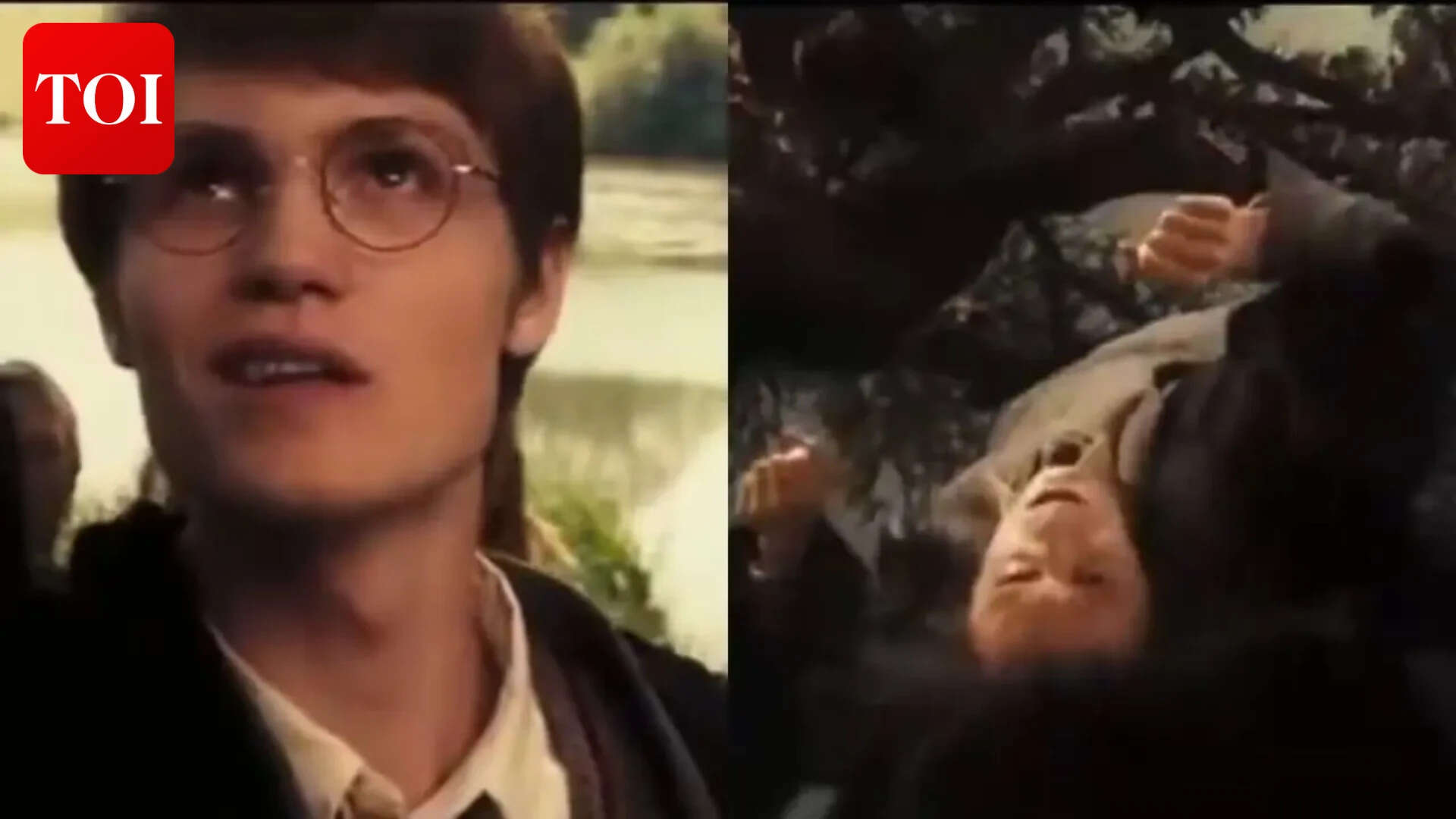 James Potter bullying Severus Snape in Harry Potter and the Order of the Phoenix