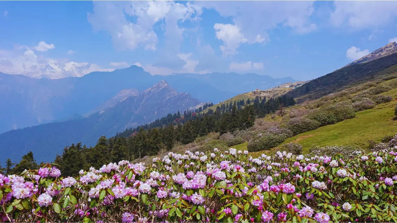 View from Tungnath trek
