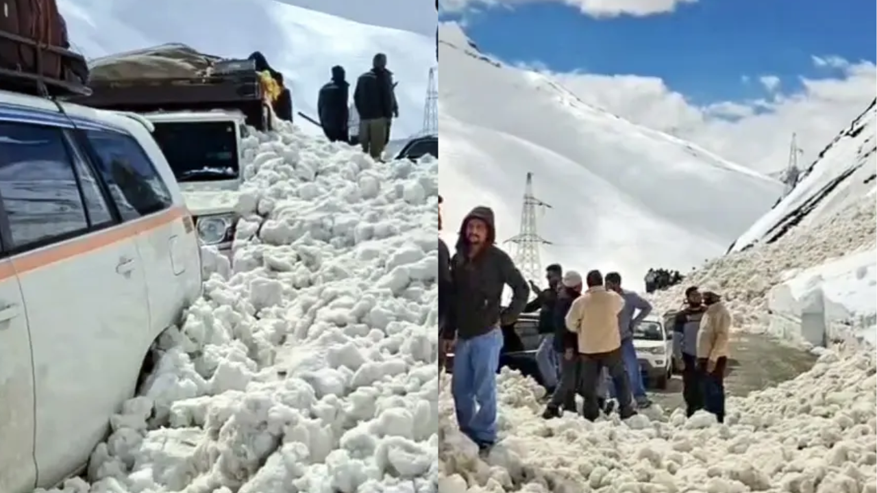 Avalanches at Zoji La pass: 7 killed, 5 injured in Ladakh; Srinagar-Leh highway blocked