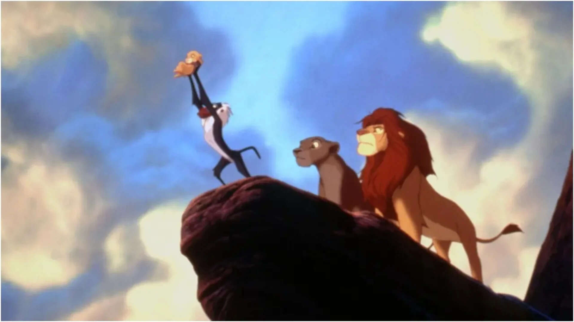 Lion King singer sues comedian for mistranslating Circle of Life