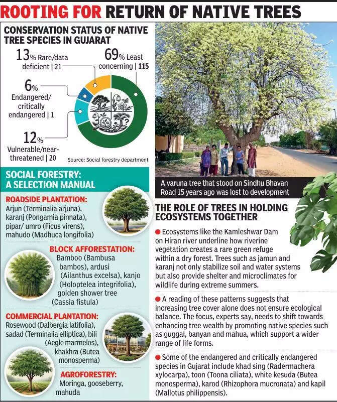 Ahmedabad’s green cover up, but trees key for biodiversity under threat: Experts