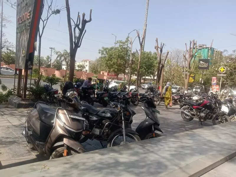 Ahmedabad: Computer institute fined Rs 3.2 lakh, ordered to plant 120 trees after chopping 12