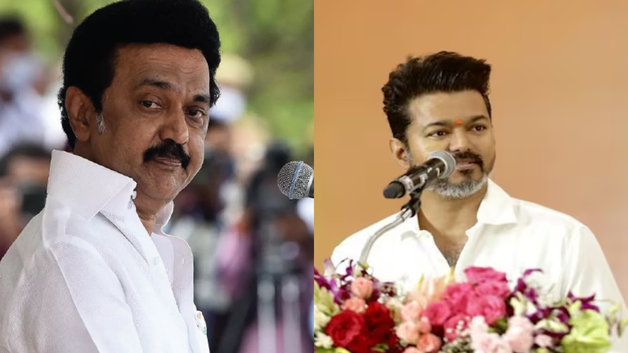 Tamil Nadu polls: South Chennai constituencies take centre stage as Assembly elections near