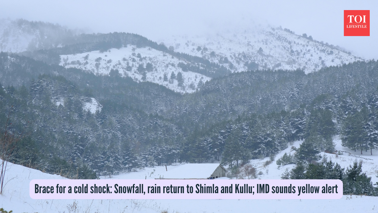 Brace for a cold shock Snowfall, rain return to Shimla and Kullu; IMD sounds yellow alert