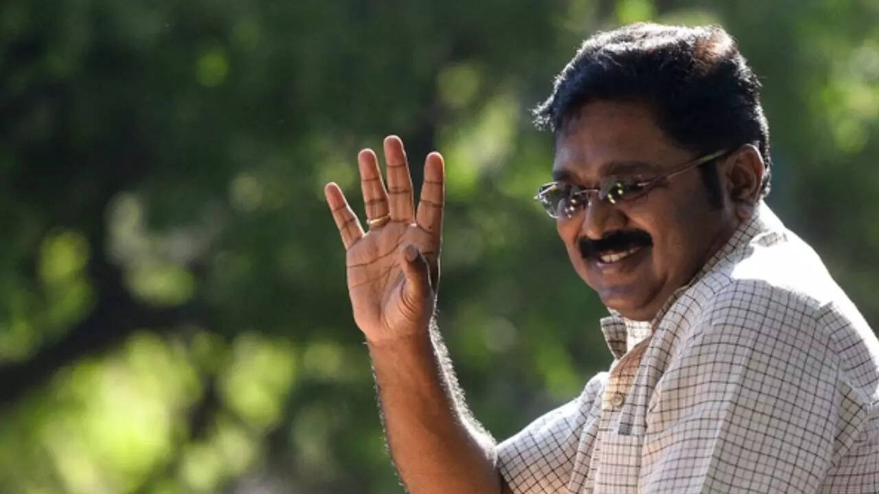 Tamil Nadu polls: T T V Dhinakaran announces candidates for 11 constituencies