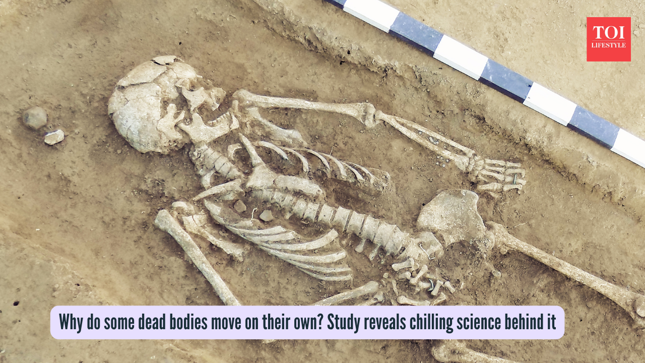 Why do some dead bodies move on their own Study reveals chilling science behind it