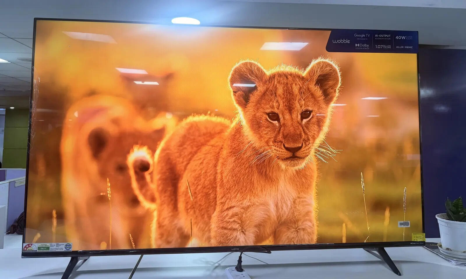 Wobble K Series Ultra HD LED Smart TV (65-inch) review