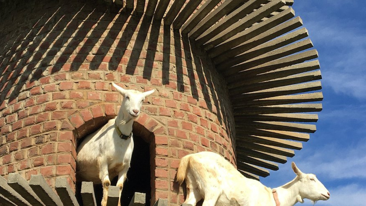 goat tower