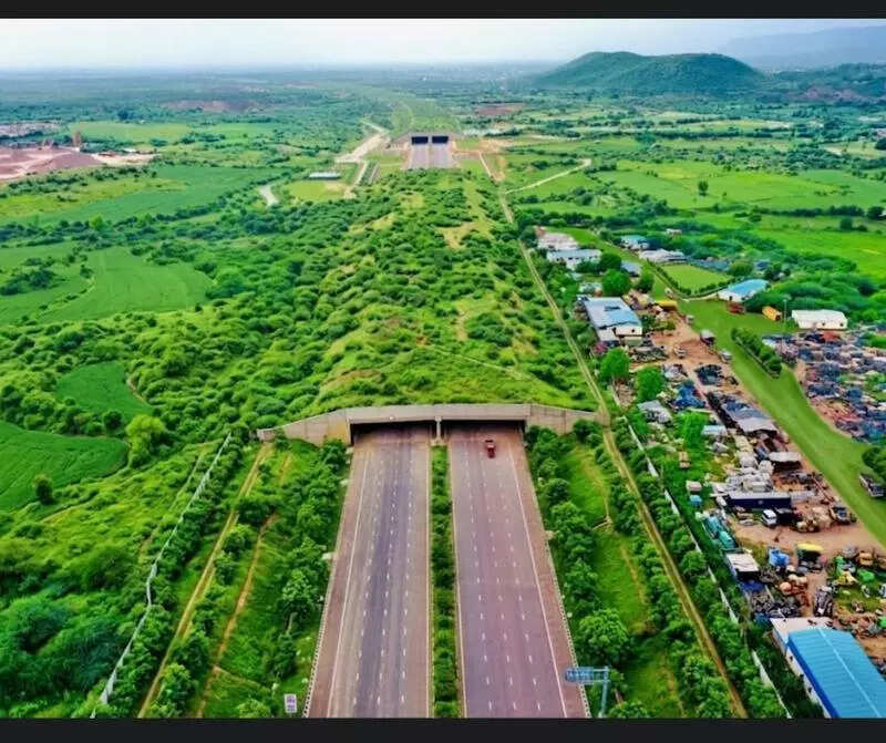 msid 129871813,imgsize 83880 https://jaipur.visitinrajasthan.com/wp-content/uploads/2023/10/cropped-cropped-R-2.png