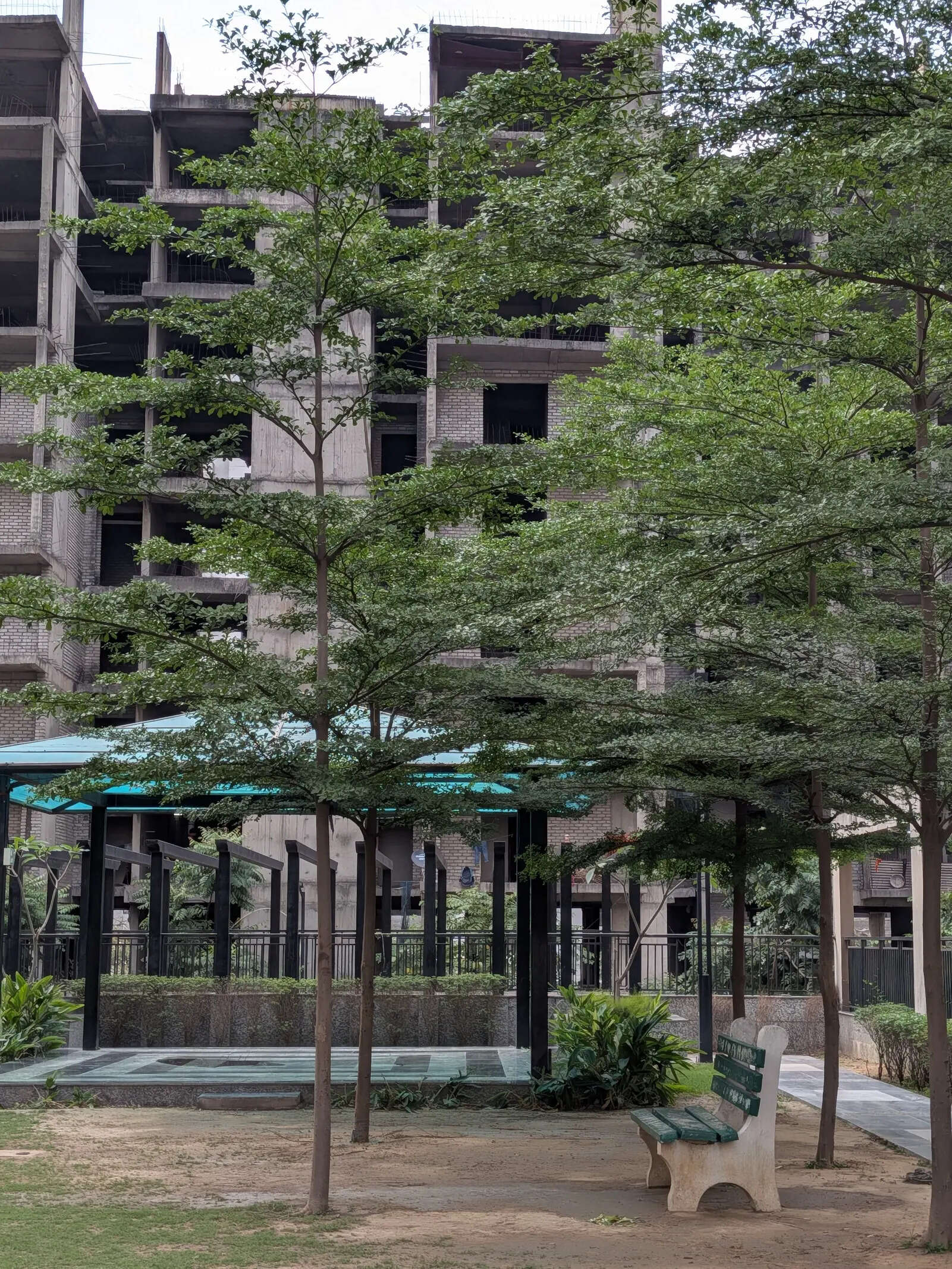 Google Pixel 10a camera sample