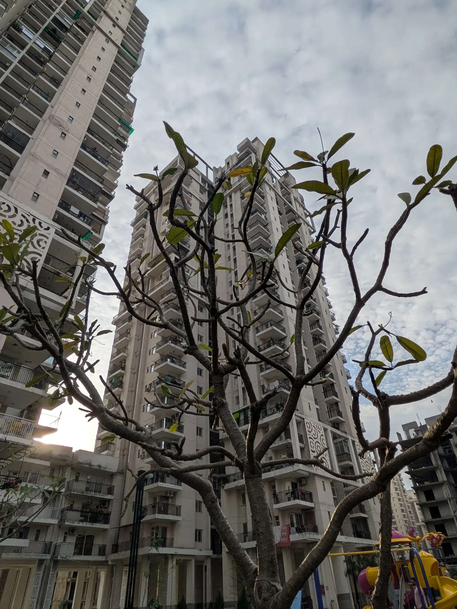 Google Pixel 10a camera sample