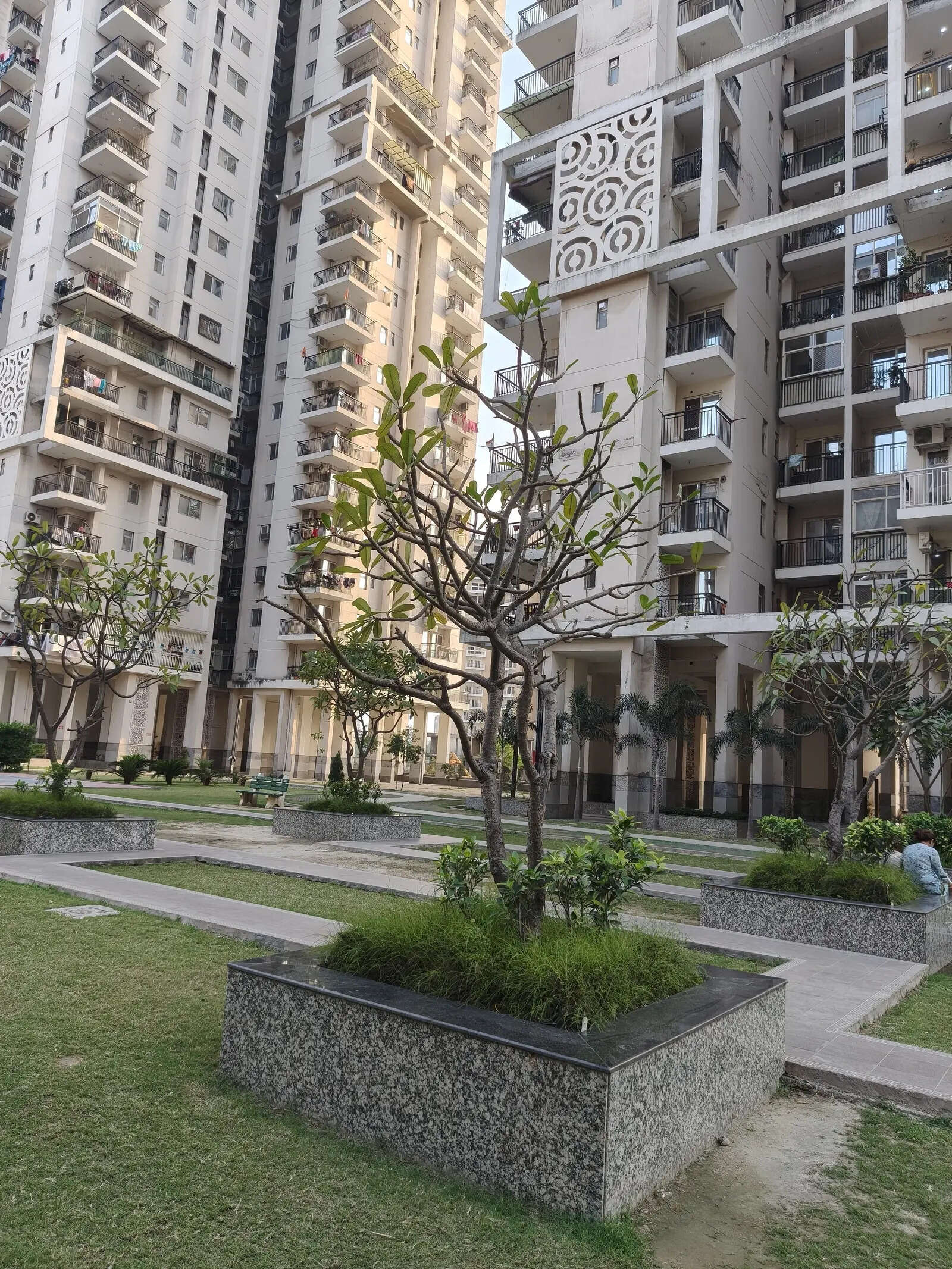 Oppo Reno 15 Pro Mini camera sample