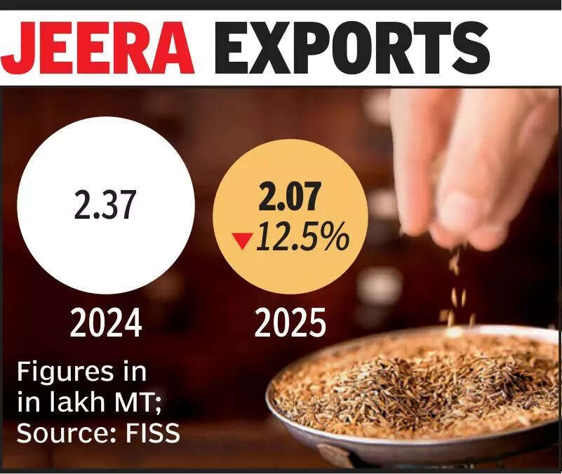 Dull 2025, war double blow for Gujarat’s cumin exports; 12.5% fall last Year