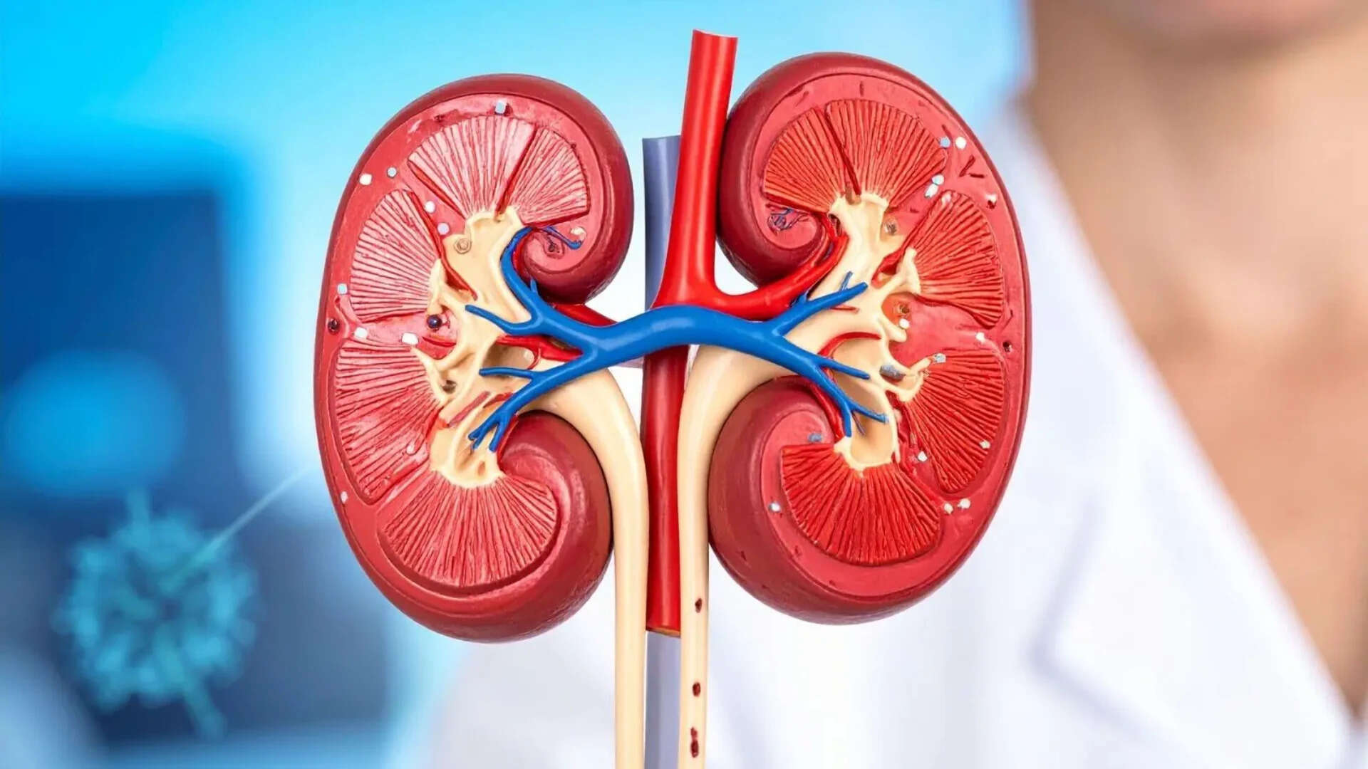 Kidney disease